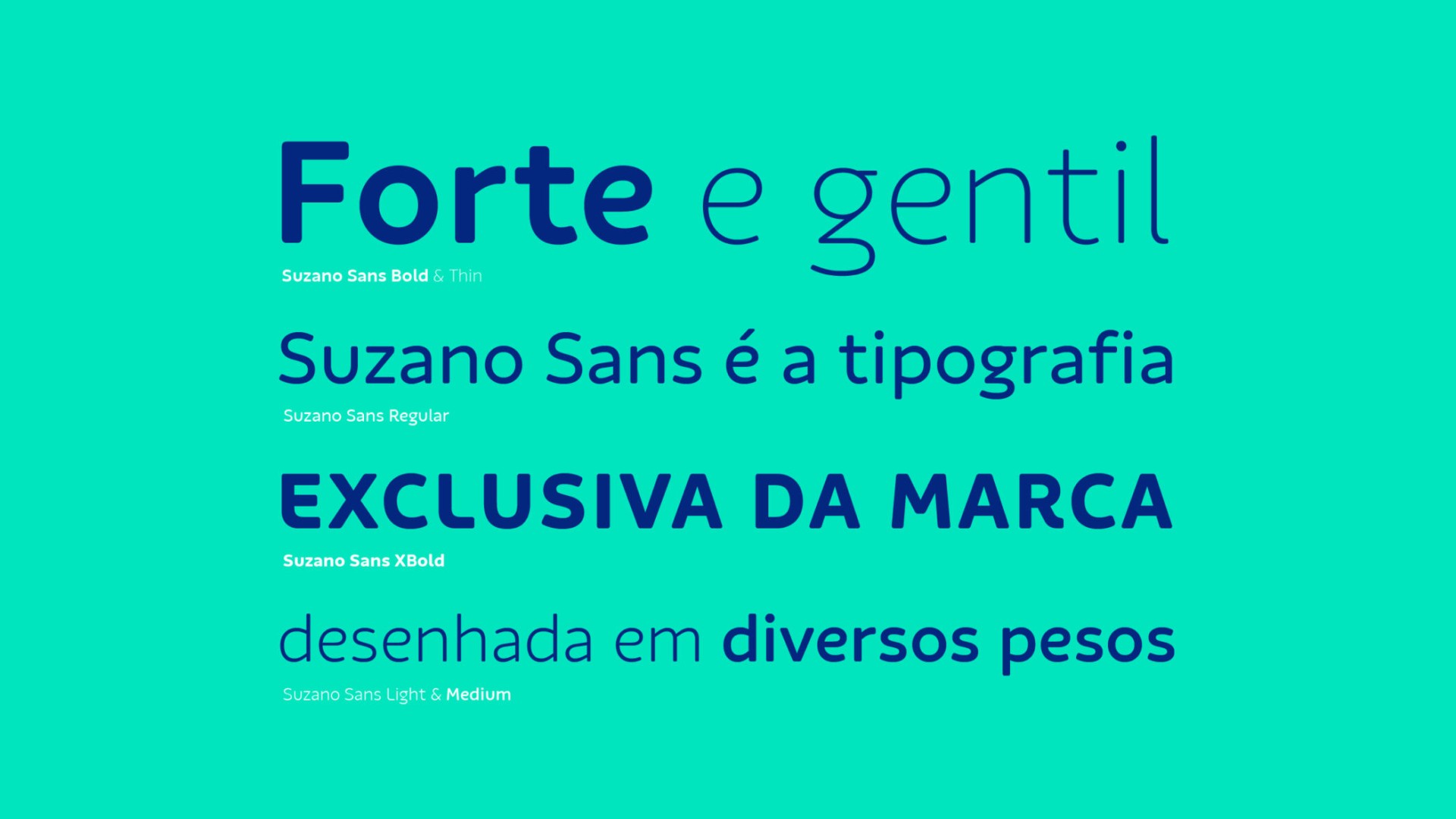 Identidade visual e verbal de marca